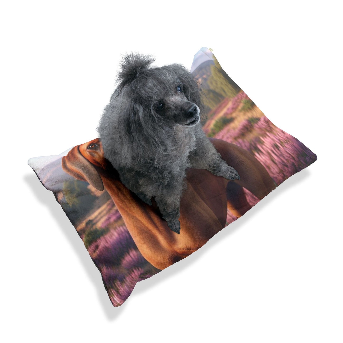 Pet Bed – Plush Dog Bed, 3 Size Options