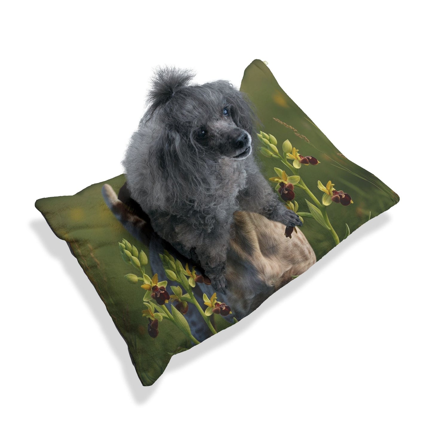 Lit pour animaux de compagnie – Lit douillet pour chien, 3 tailles disponibles