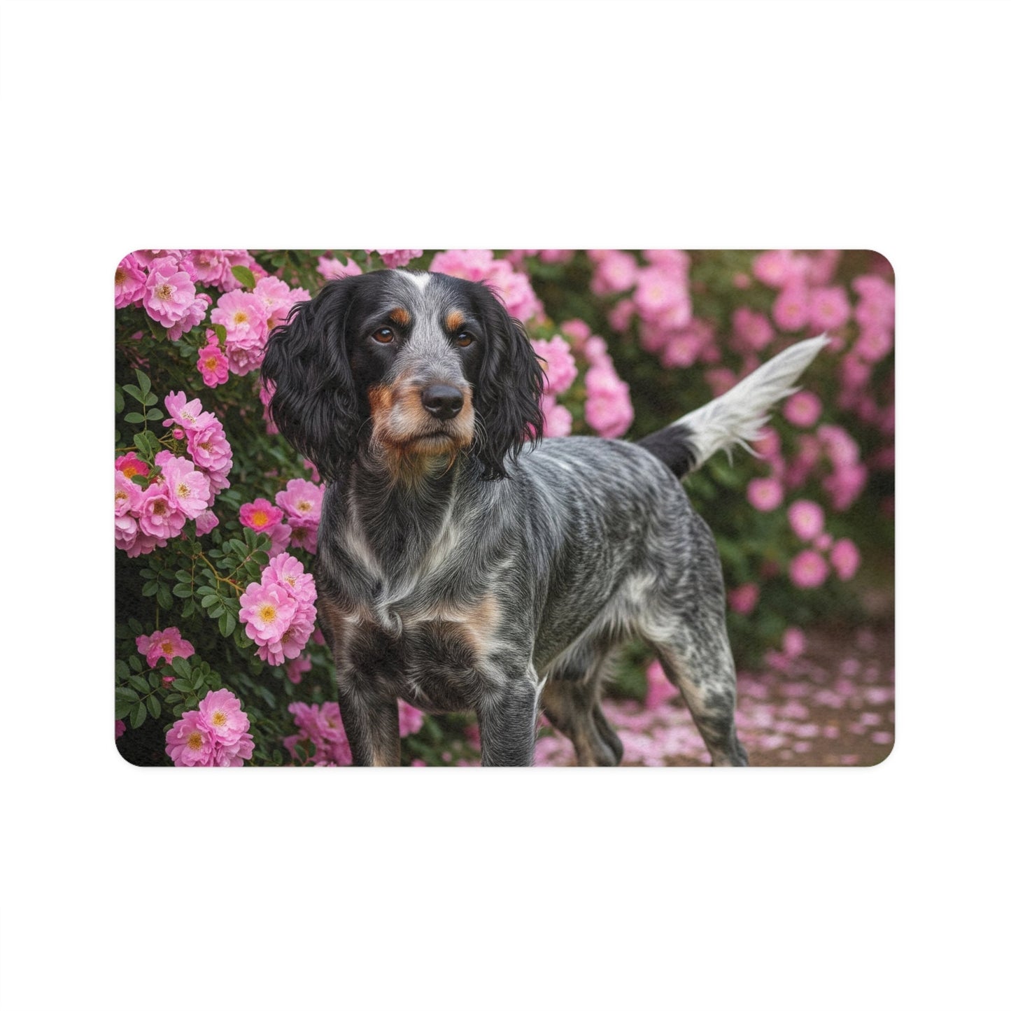 Non-Slip Pet Food Mat – Waterproof Feeding Mat for Dogs