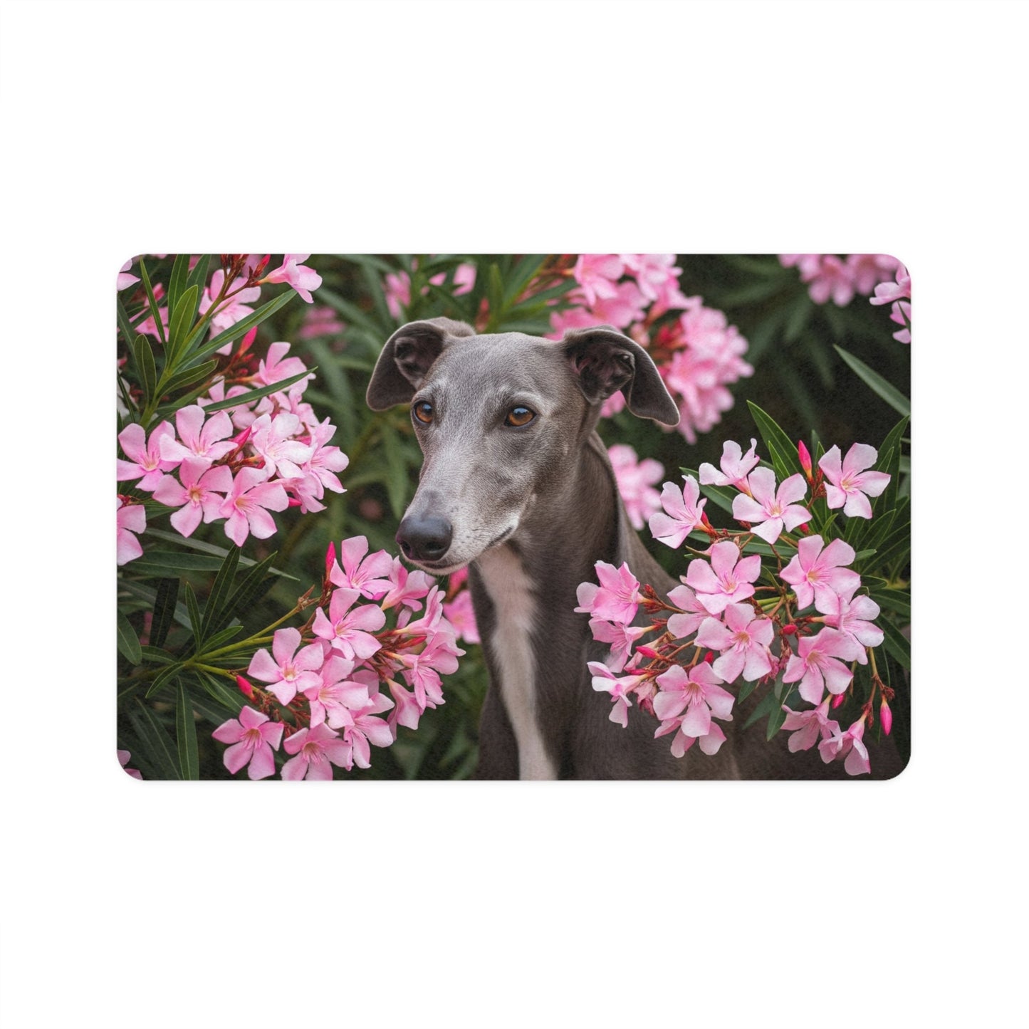 Tapis antidérapant pour animaux de compagnie – Tapis d'alimentation étanche pour chiens