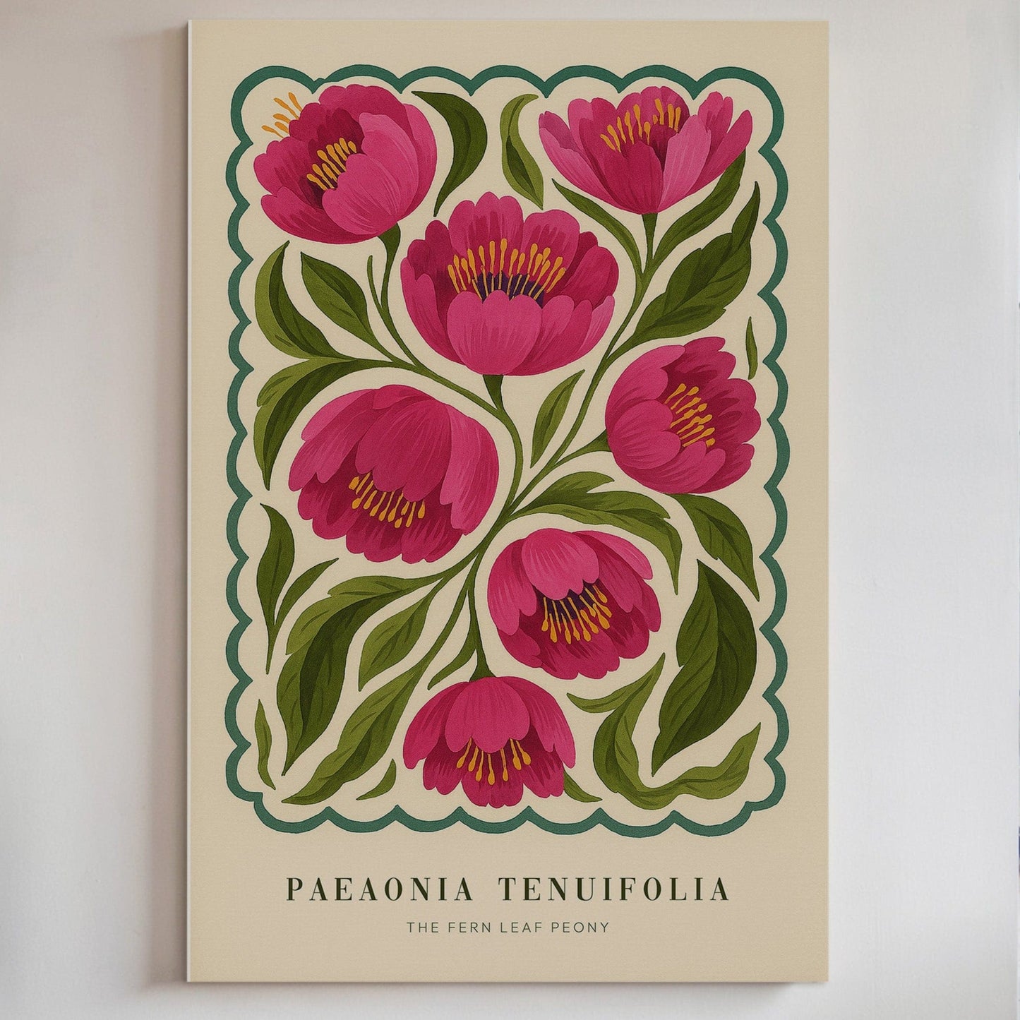 Étude de pivoine n° 5 – Le soft power en pleine floraison