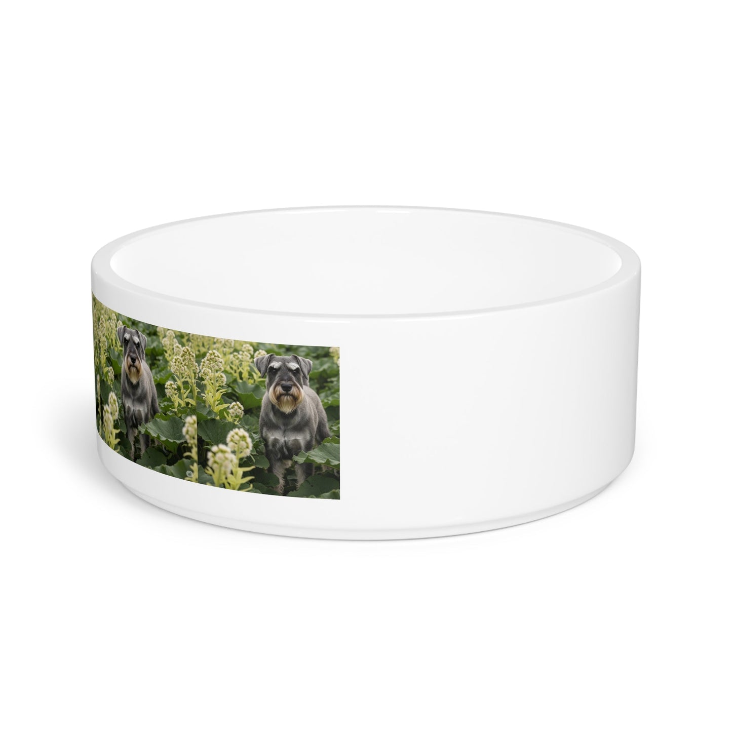 Ceramic Pet Bowl – 16 oz Dog Feeding Bowl