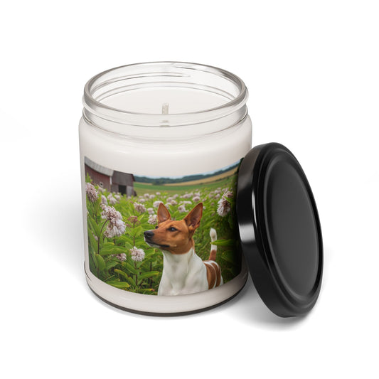 Soy Candle – Scented Jar Candle