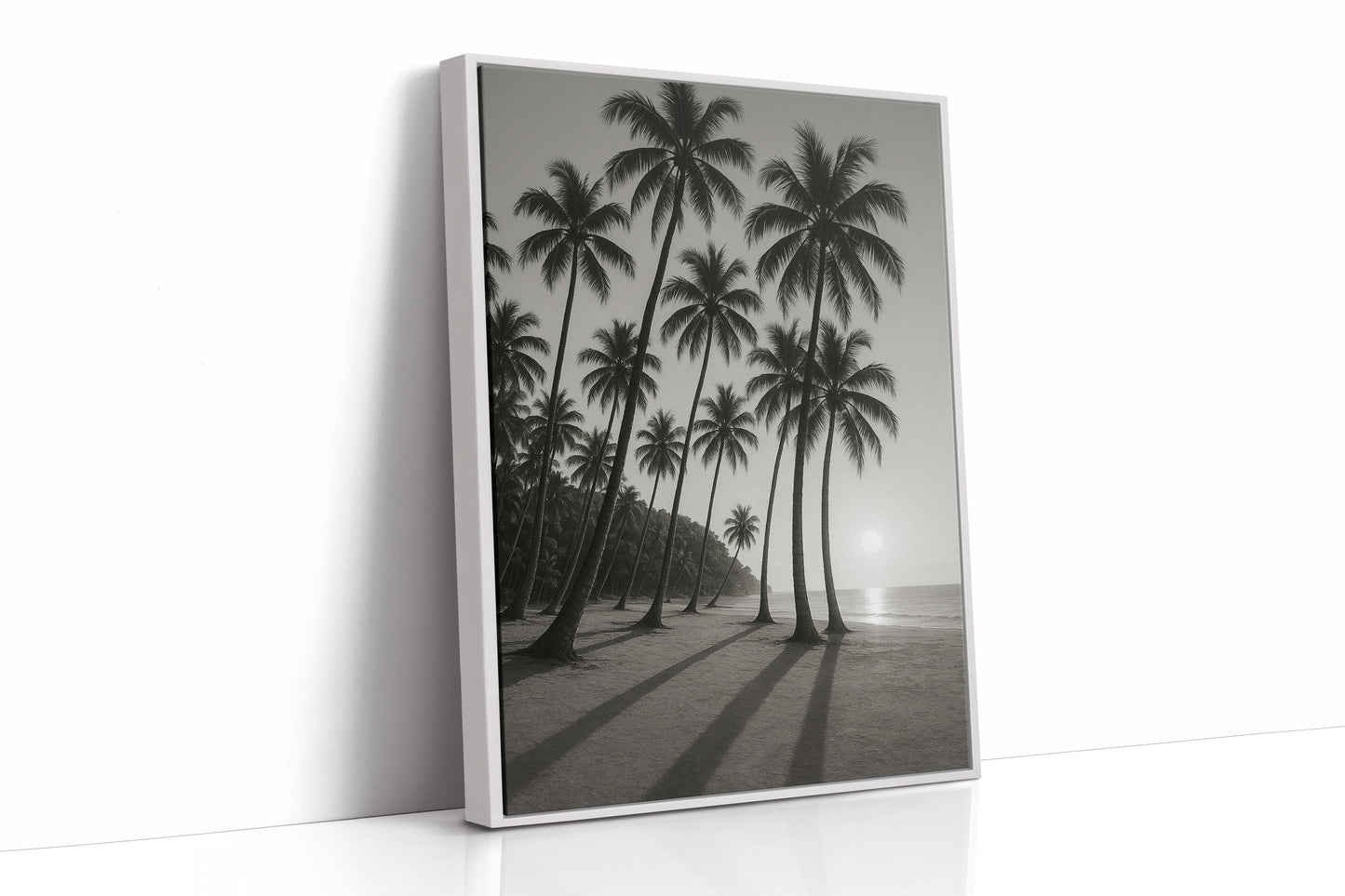 Palm Shadows at Sunrise