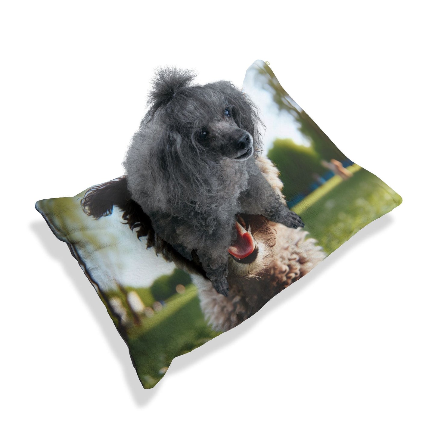 Haustierbett – Plüsch-Hundebett, 3 Größenoptionen