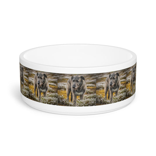 Ceramic Pet Bowl – 16 oz Dog Feeding Bowl