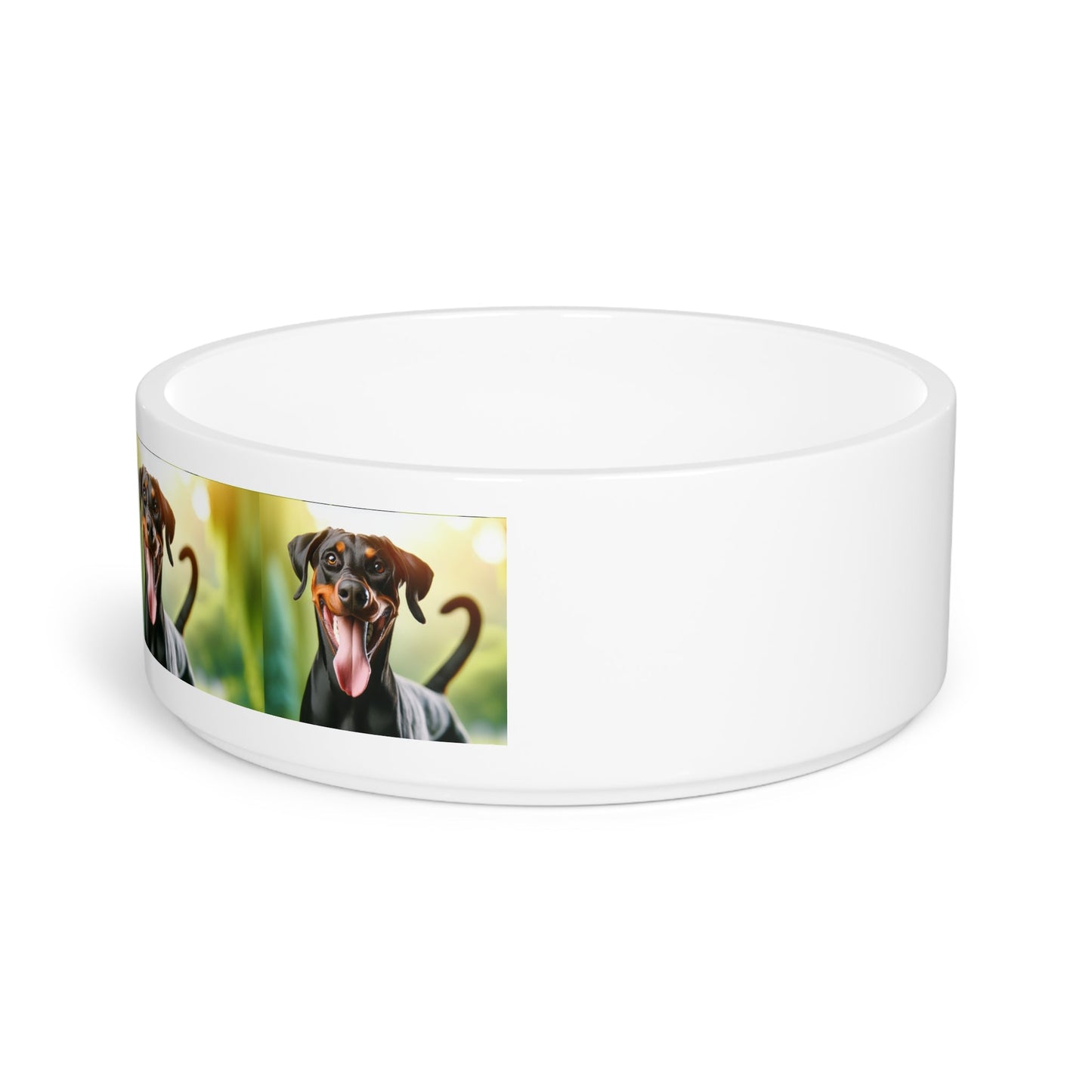 Gamelle en céramique pour animaux de compagnie – Gamelle pour chien de 47 cl