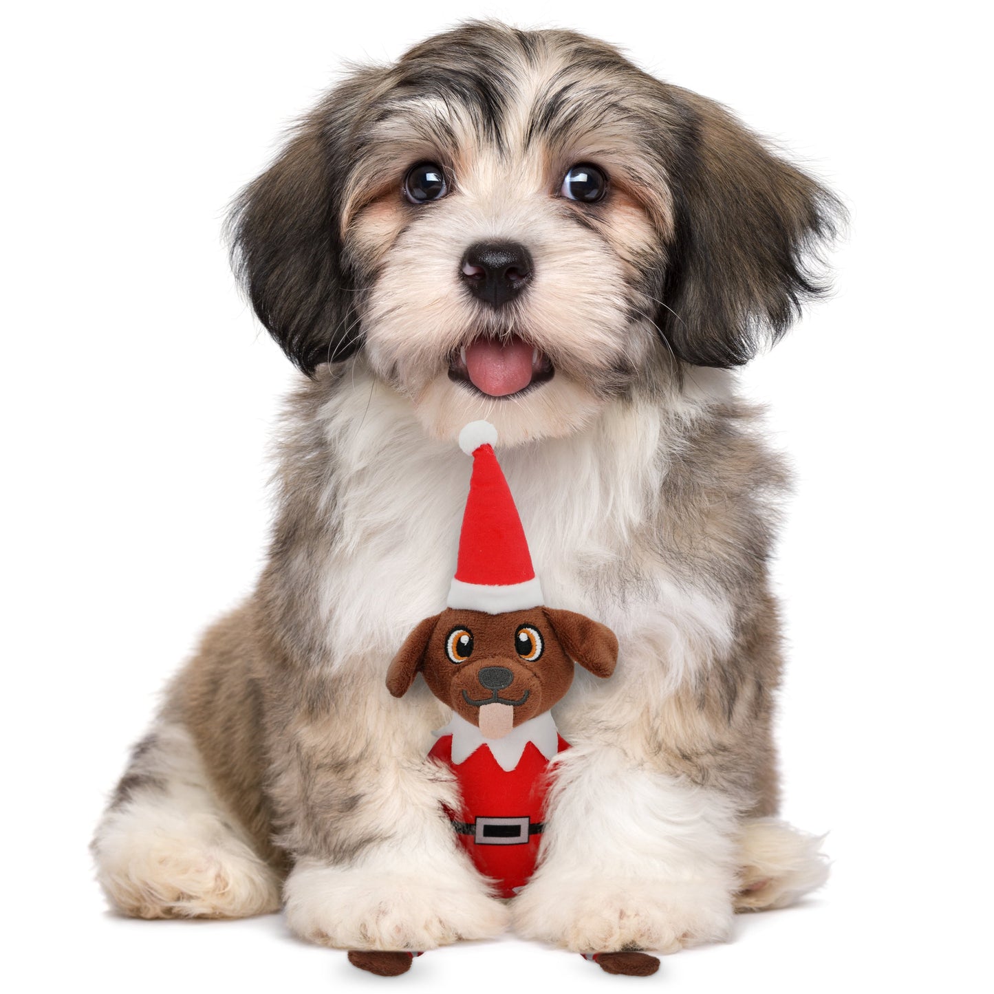 PUPROAR Pooch on a Perch | Elf Dog Toy & Christmas Dog Toy