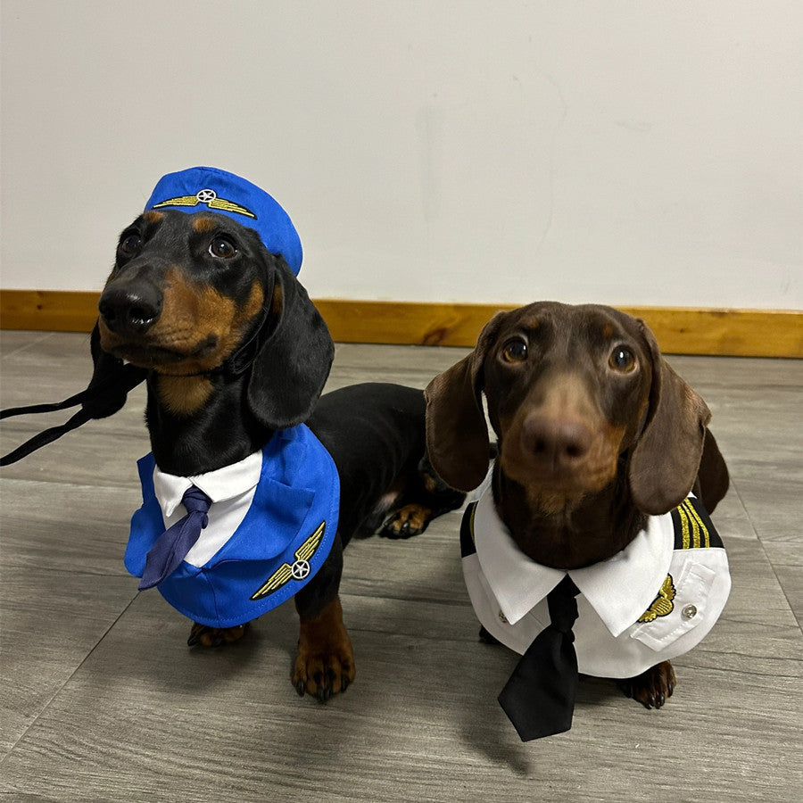 Dachshund Dog Funny Clothes Halloween Suit