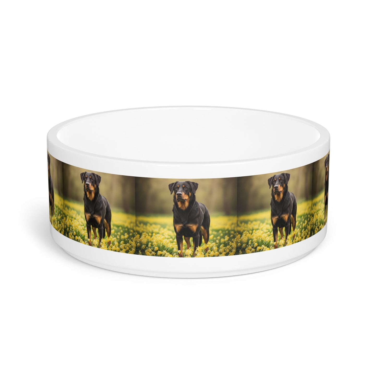 Ceramic Pet Bowl – 16 oz Dog Feeding Bowl