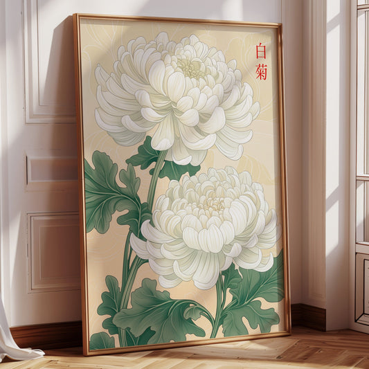 White Chrysanthemum – Symbol of Purity and Elegance