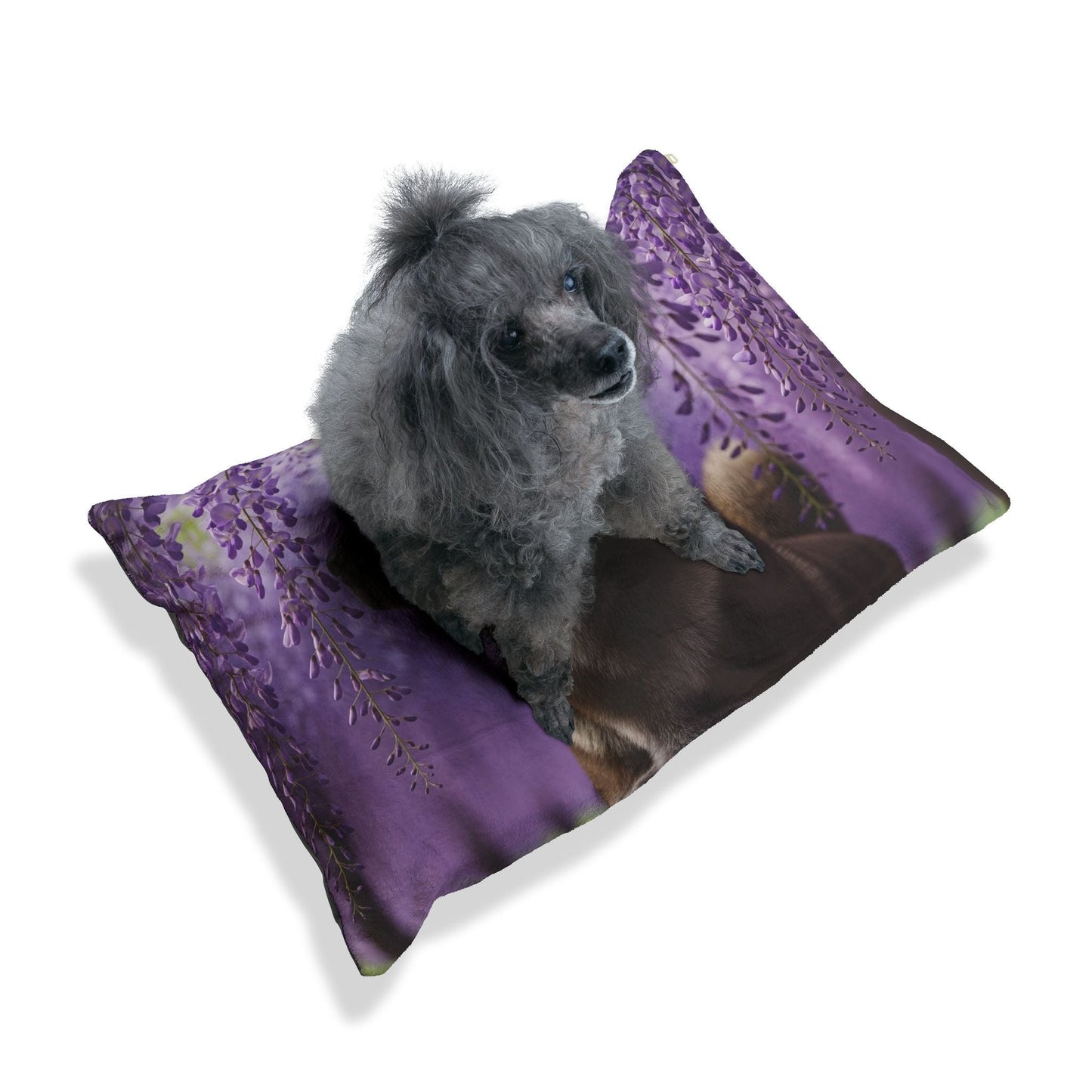 Lit pour animaux de compagnie – Lit douillet pour chien, 3 tailles disponibles