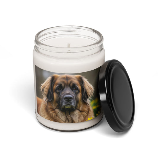 Soy Candle – Scented Jar Candle