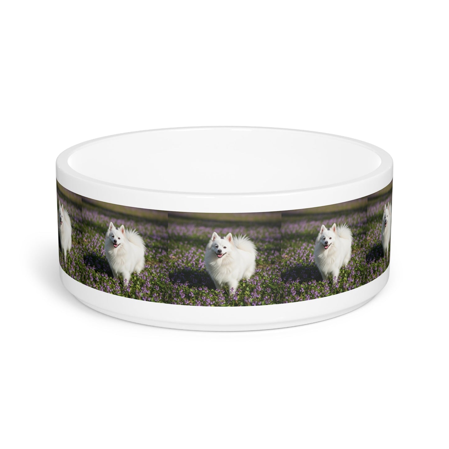 Ceramic Pet Bowl – 16 oz Dog Feeding Bowl
