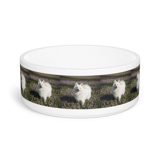 Ceramic Pet Bowl – 16 oz Dog Feeding Bowl