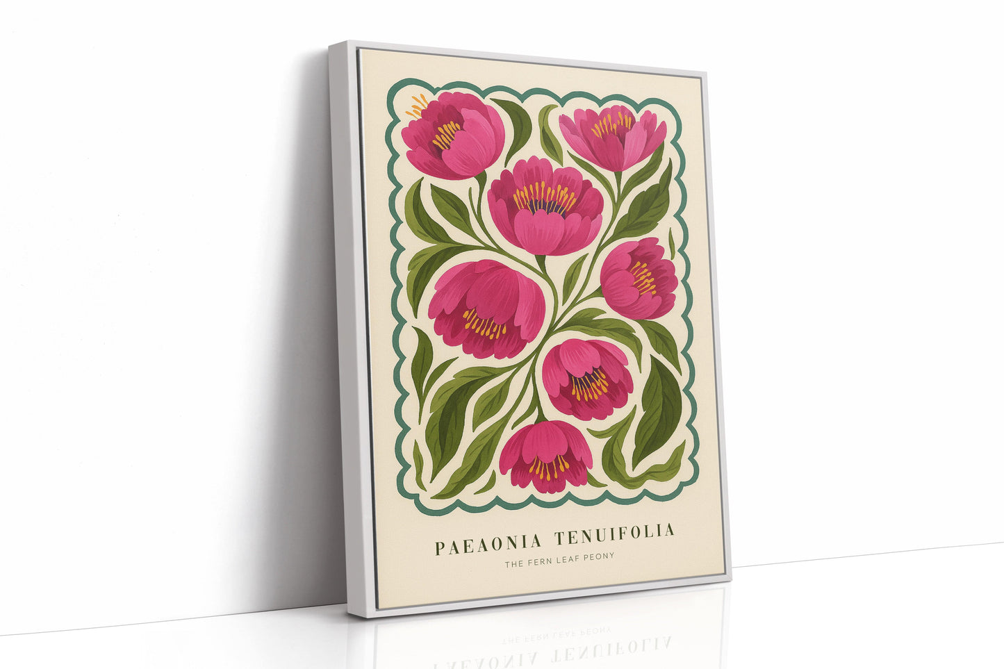 Étude de pivoine n° 5 – Le soft power en pleine floraison