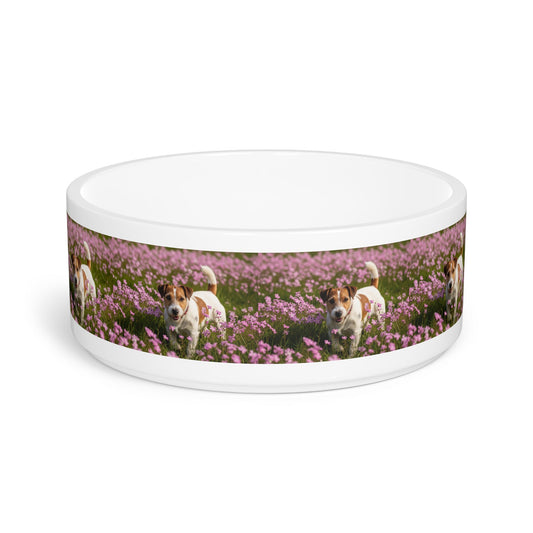 Ceramic Pet Bowl – 16 oz Dog Feeding Bowl
