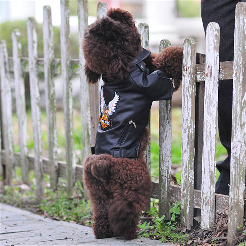 Pet Small Dog Sticker Embroidered Eagle Leather Jacket