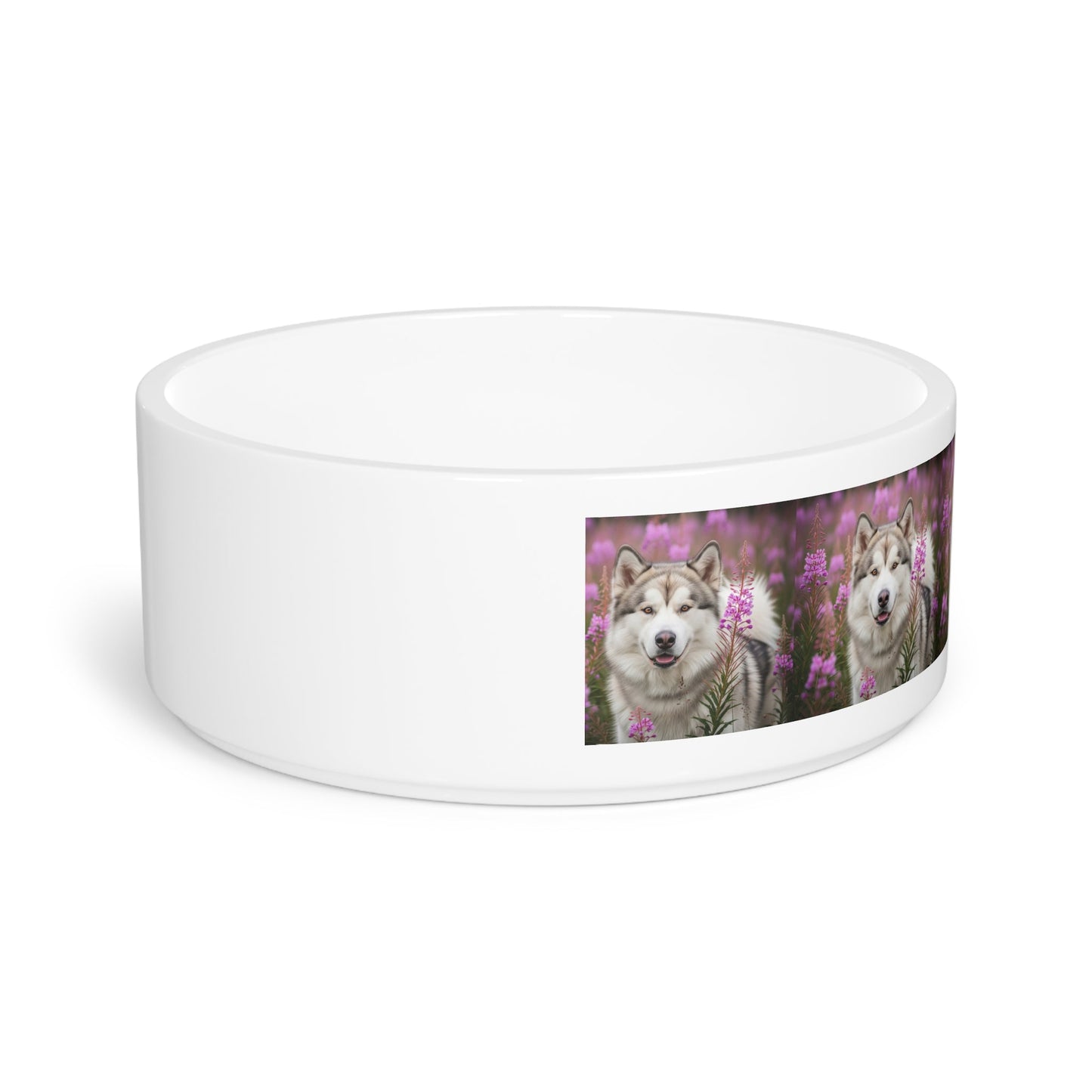 Keramik-Futternapf für Haustiere – 470 ml Hundenapf