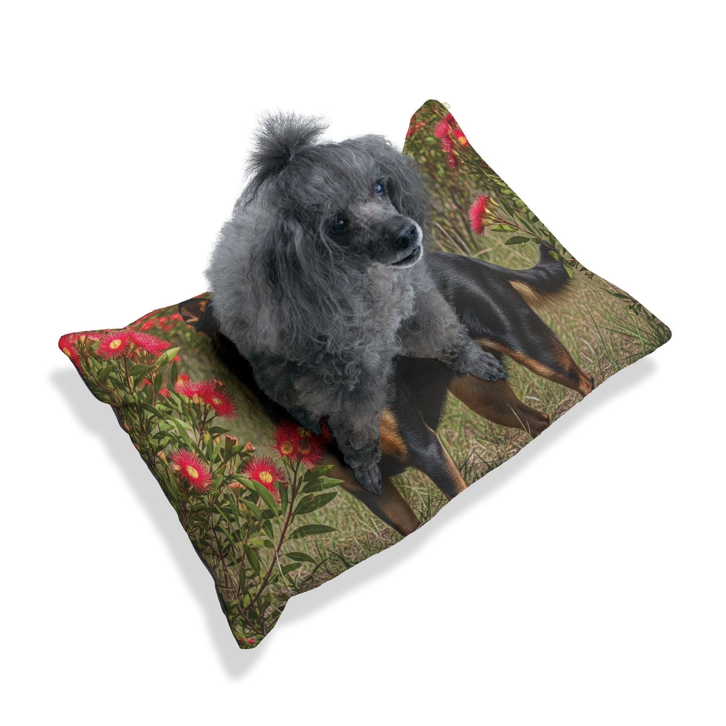 Pet Bed – Plush Dog Bed, 3 Size Options