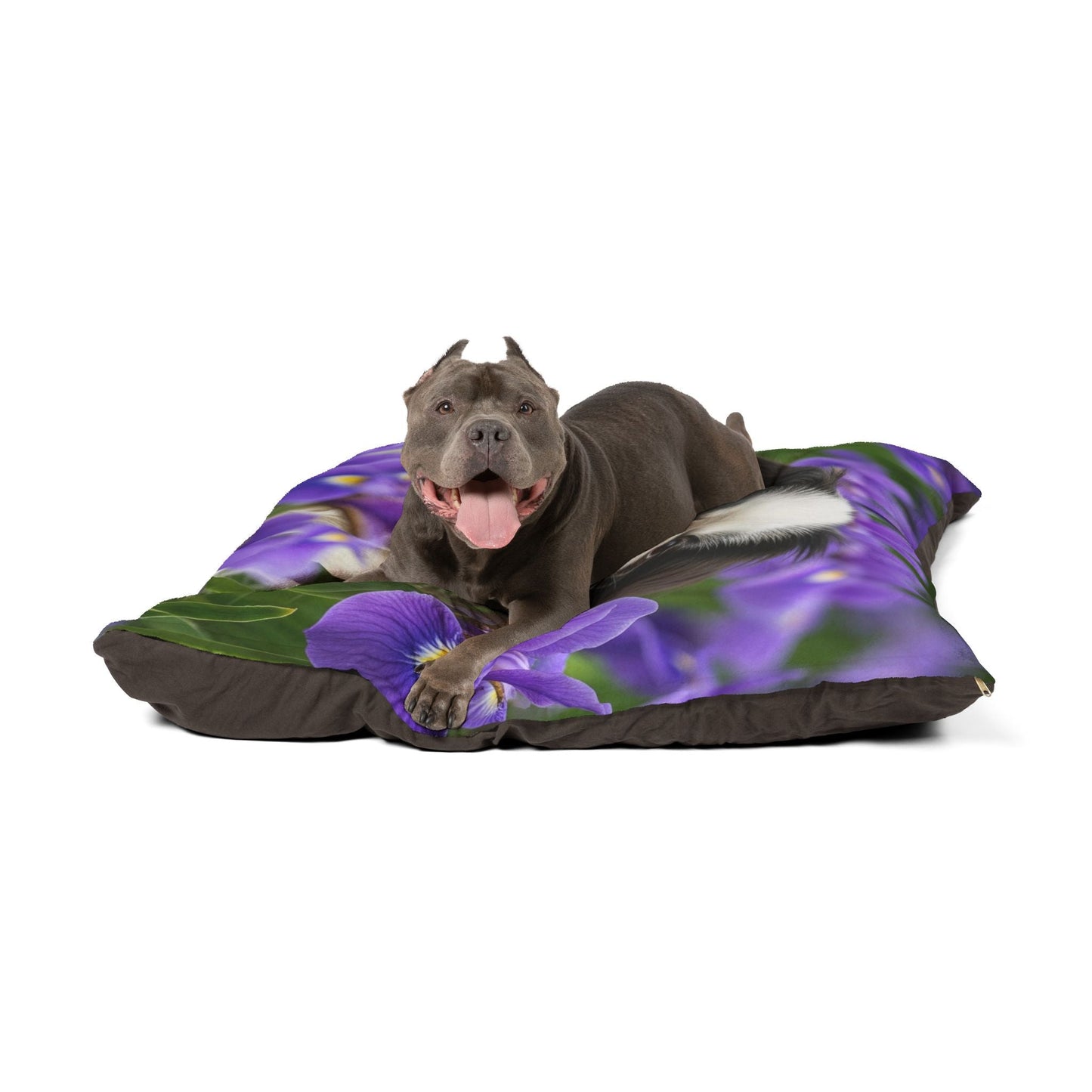 Pet Bed – Plush Dog Bed, 3 Size Options