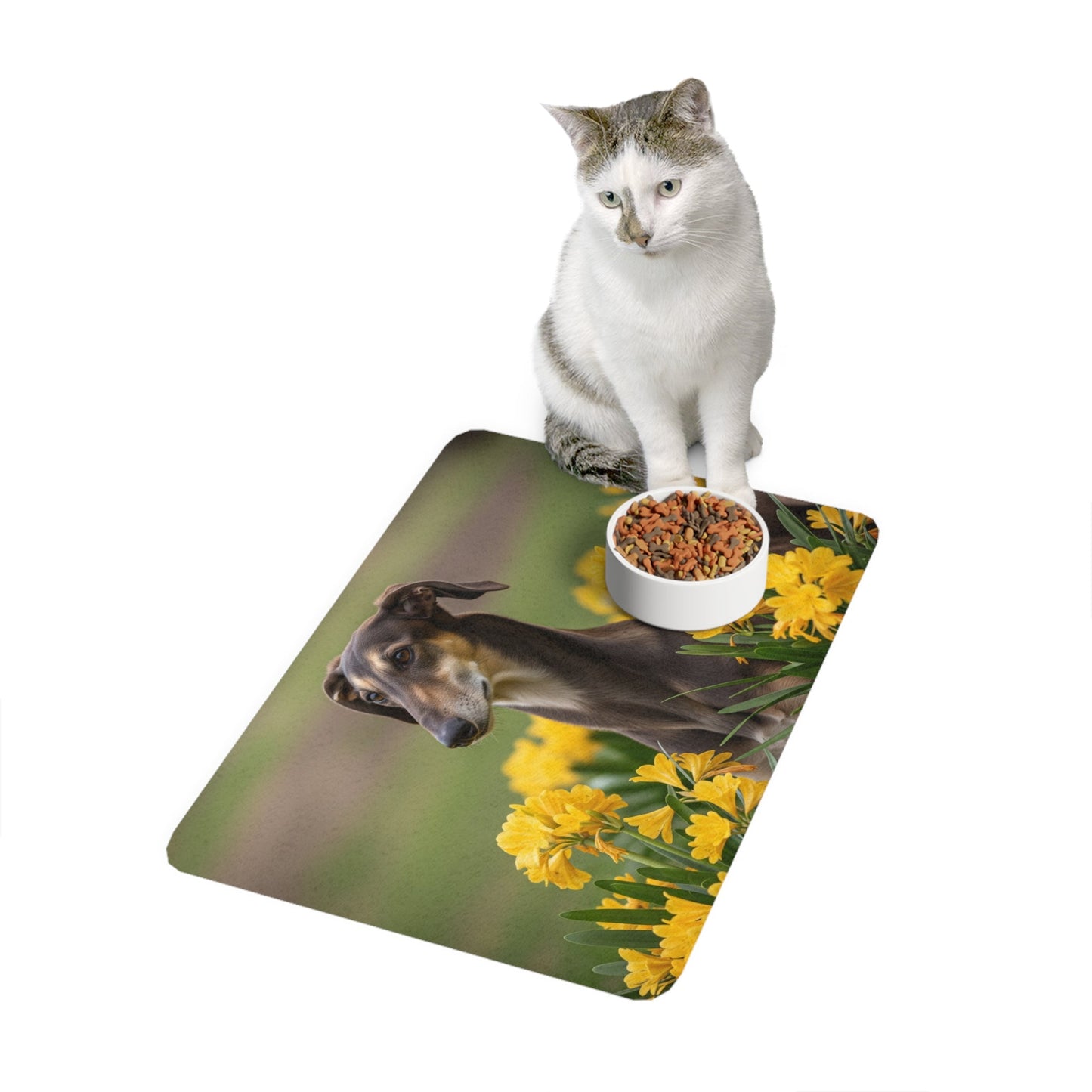 Tapis antidérapant pour animaux de compagnie – Tapis d'alimentation étanche pour chiens