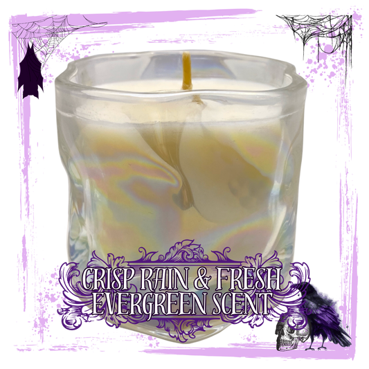 Go Touch Grass : Crisp Rain and Fresh Evergreen Scented Candle