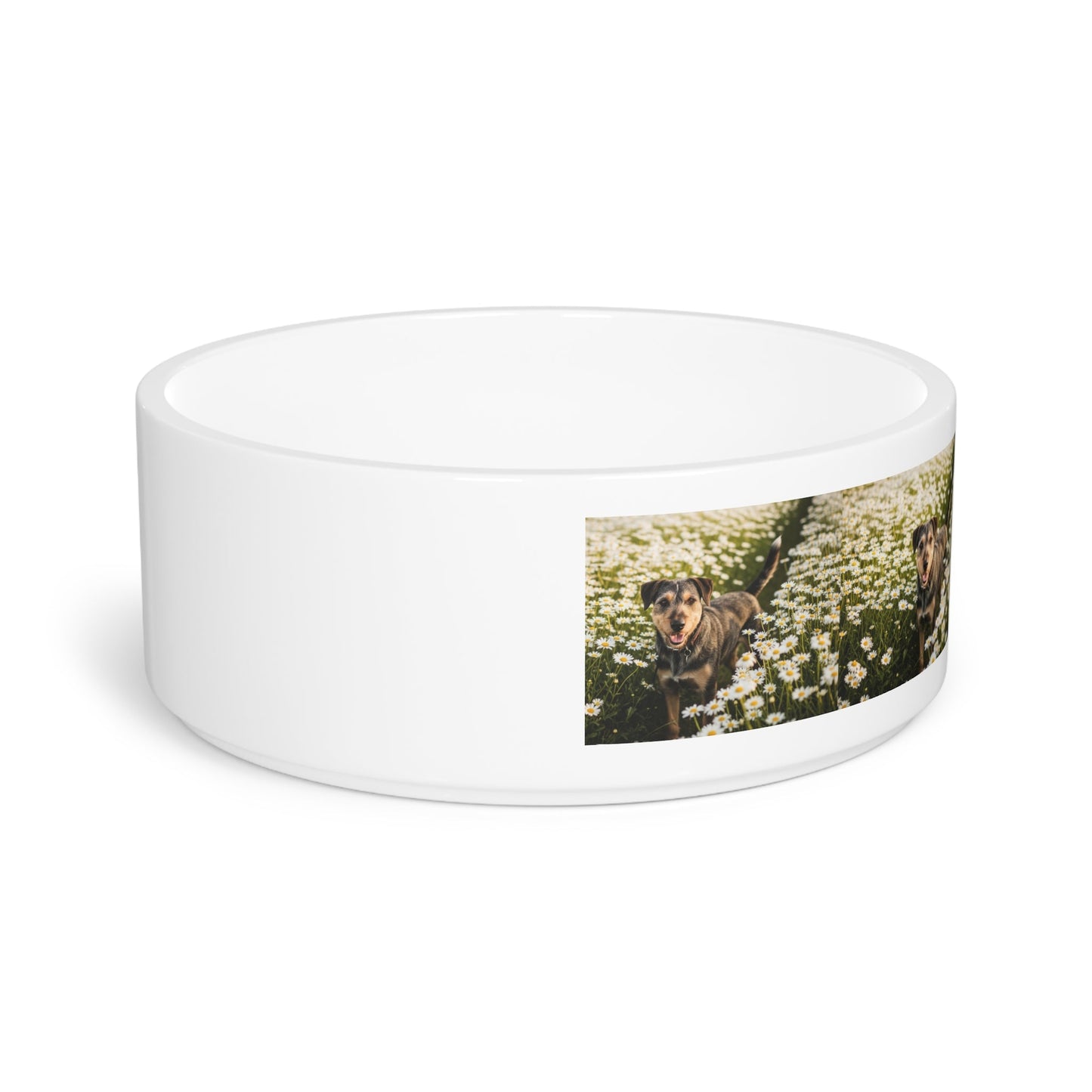 Gamelle en céramique pour animaux de compagnie – Gamelle de 47 cl pour chien