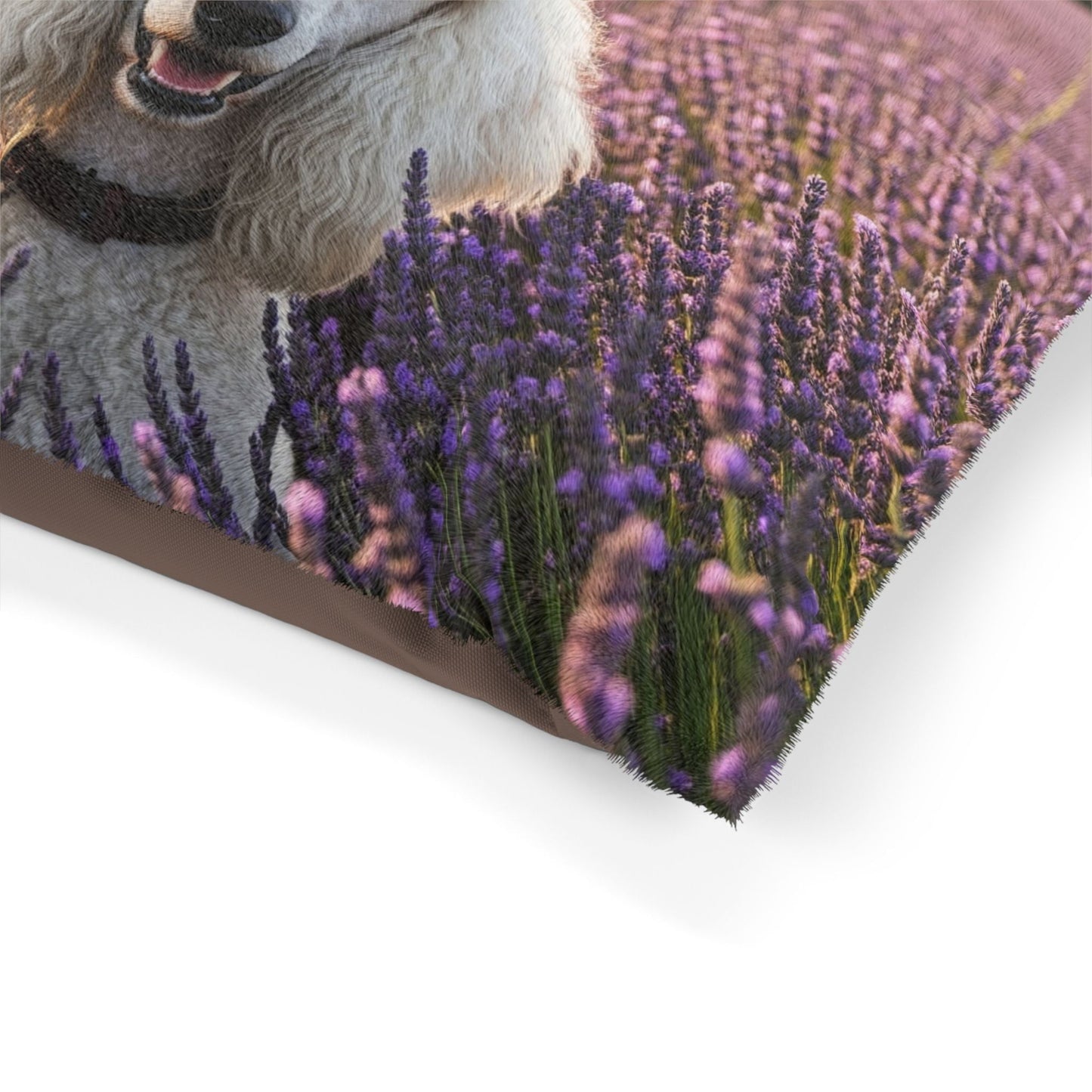 Pet Bed – Plush Dog Bed, 3 Size Options