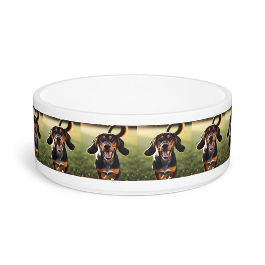Ceramic Pet Bowl – 16 oz Dog Feeding Bowl
