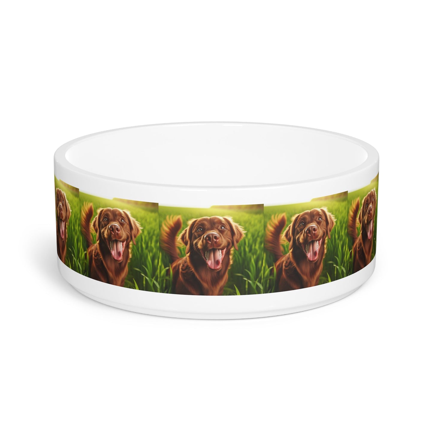 Keramik-Haustierschale – 450 ml Futterschale für Hunde