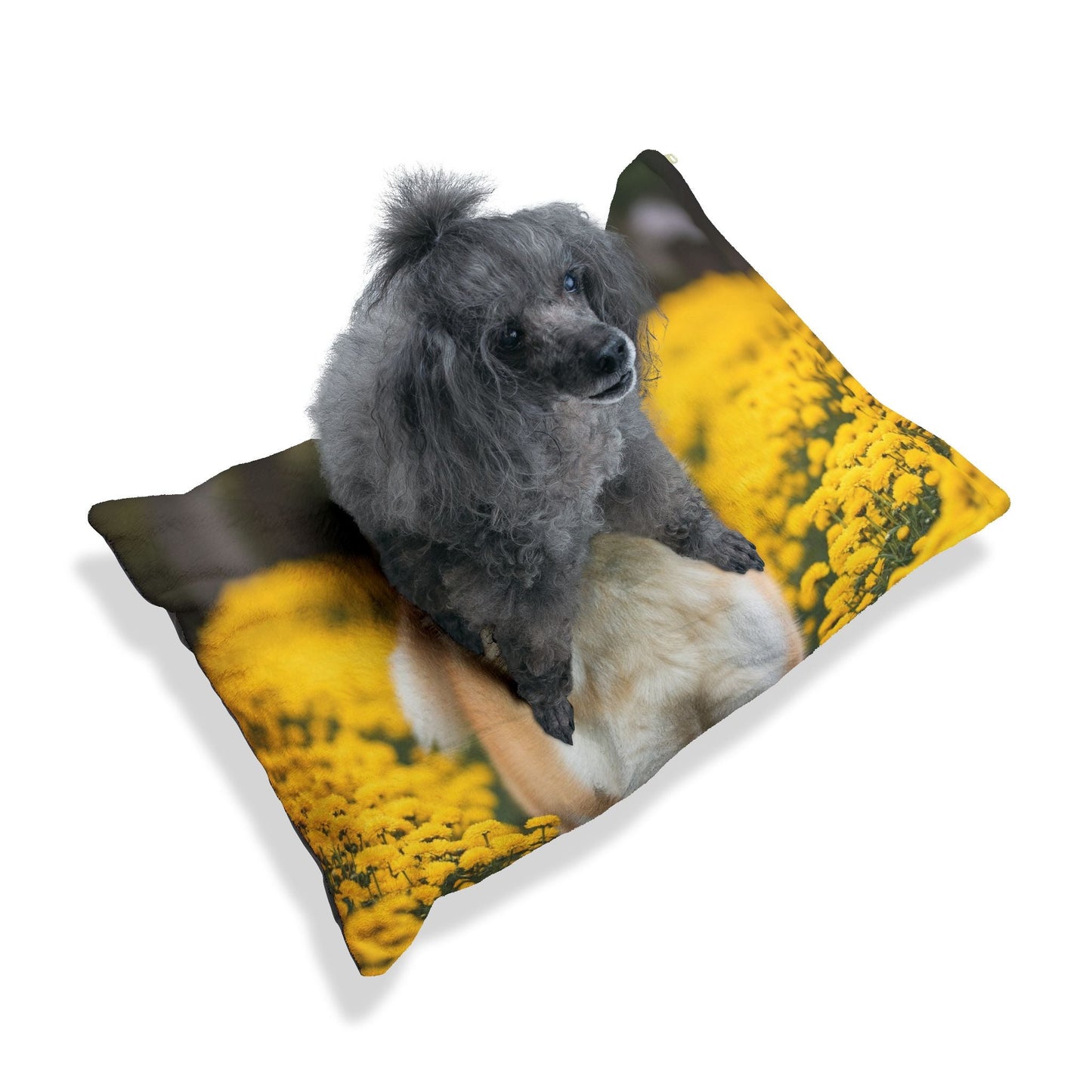 Pet Bed – Plush Dog Bed, 3 Size Options