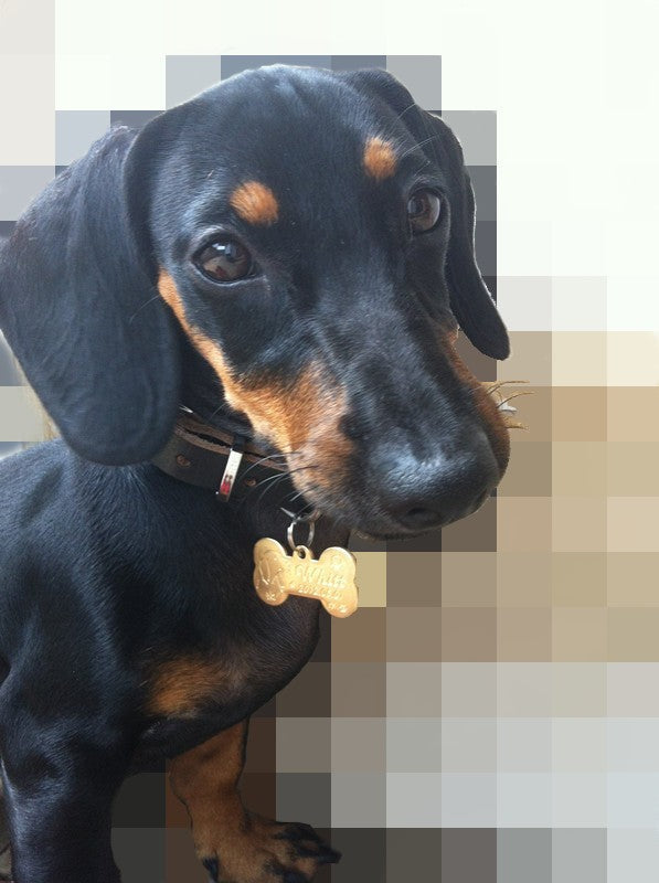 Custom made brass pet Pendant