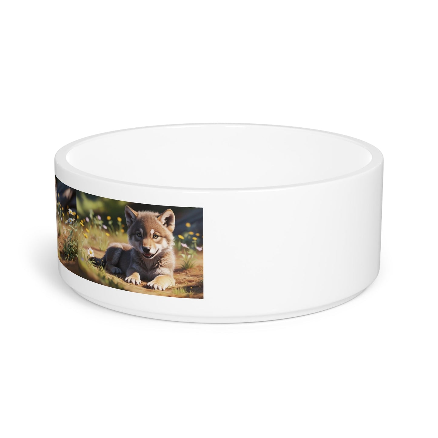 Gamelle en céramique pour animaux de compagnie – Gamelle de 47 cl pour chien