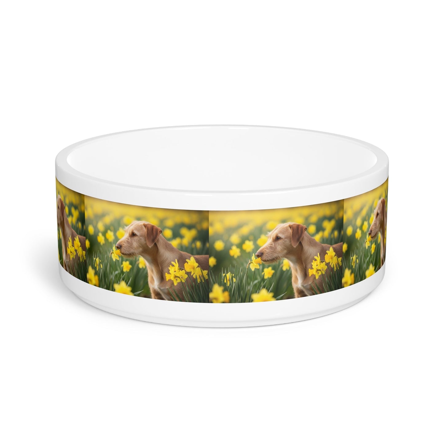 Ceramic Pet Bowl – 16 oz Dog Feeding Bowl