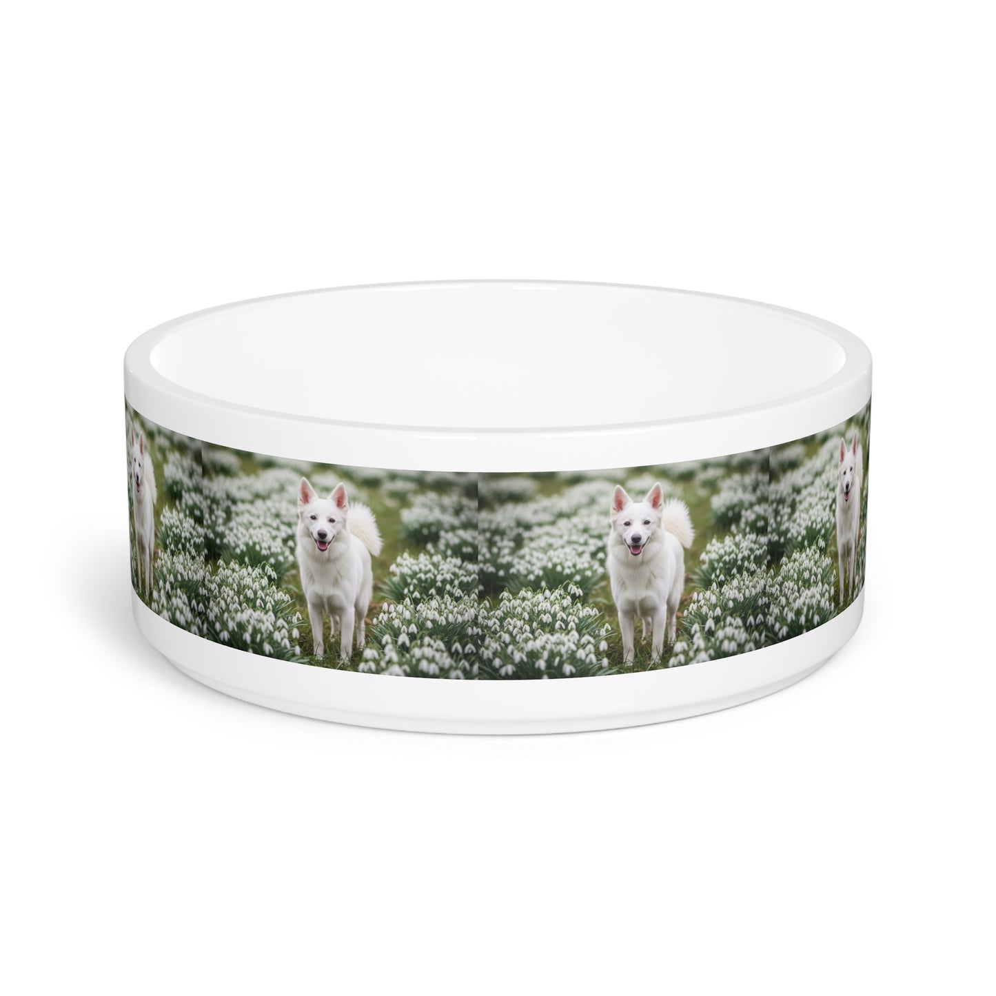 Ceramic Pet Bowl – 16 oz Dog Feeding Bowl