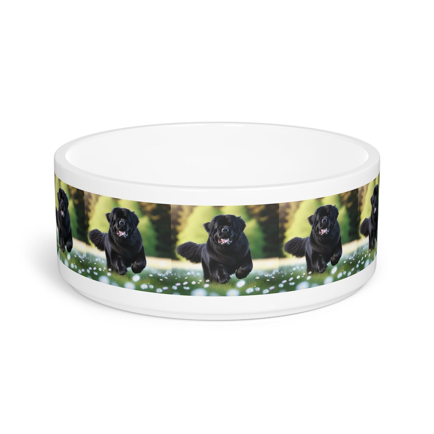 Ceramic Pet Bowl – 16 oz Dog Feeding Bowl