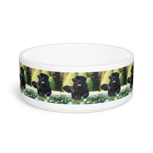 Ceramic Pet Bowl – 16 oz Dog Feeding Bowl
