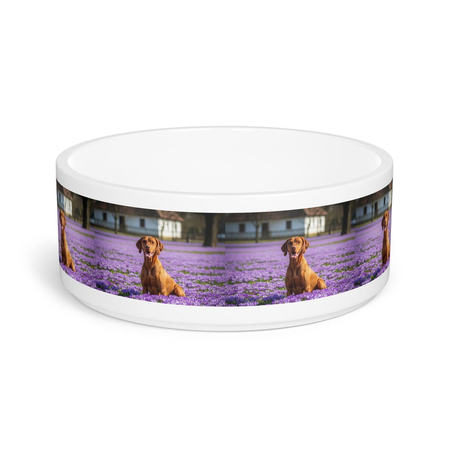 Ceramic Pet Bowl – 16 oz Dog Feeding Bowl
