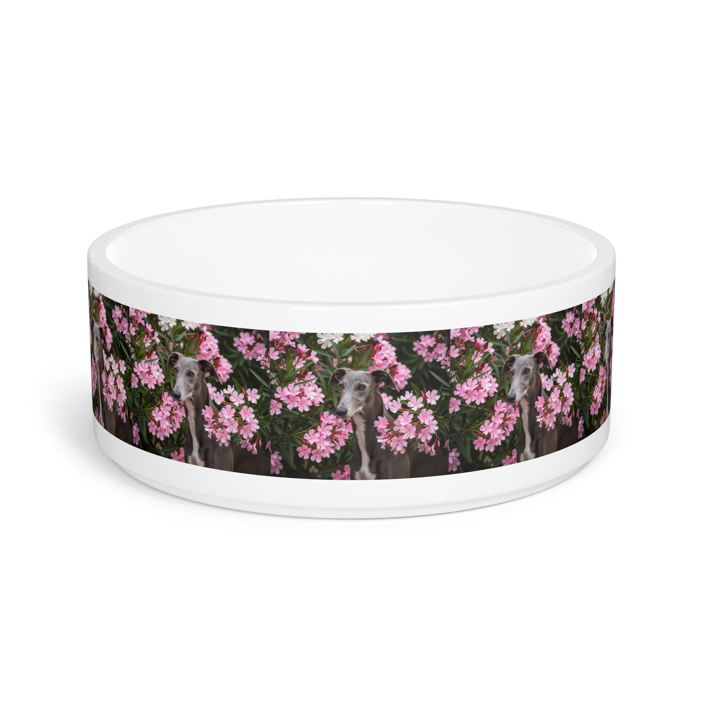 Ceramic Pet Bowl – 16 oz Dog Feeding Bowl