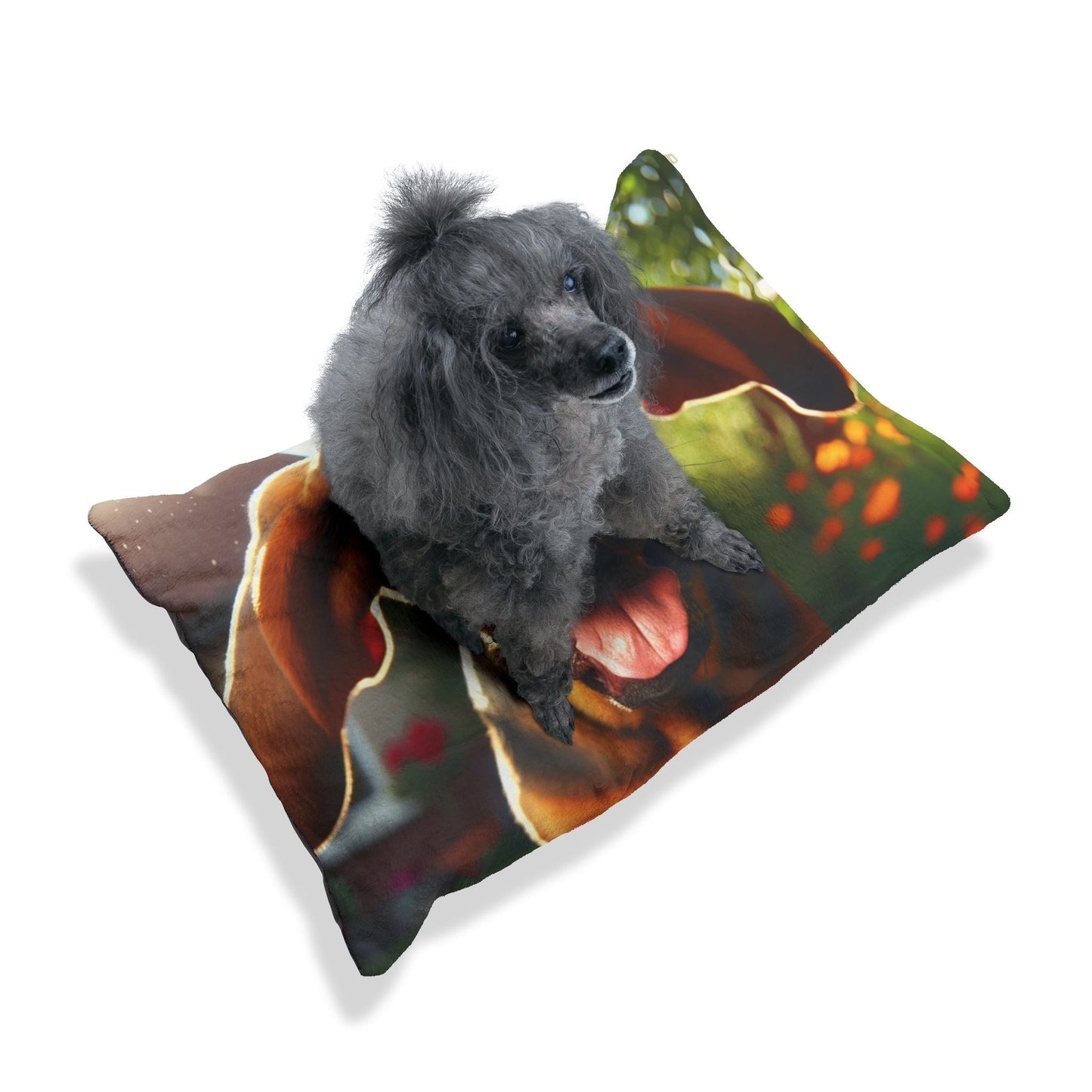 Lit pour animaux de compagnie – Lit douillet pour chien, 3 tailles disponibles