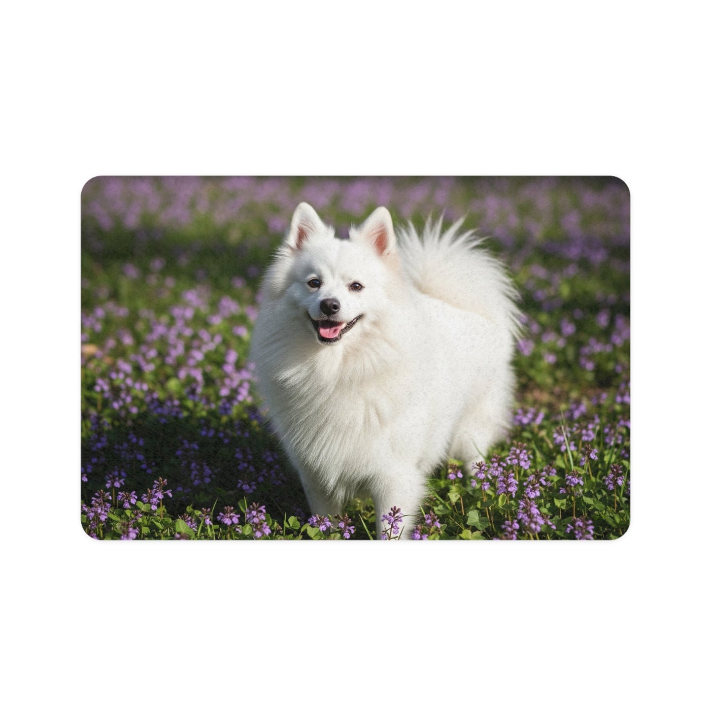 Tapis antidérapant pour animaux de compagnie – Tapis d'alimentation étanche pour chiens