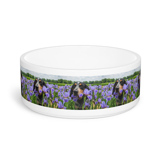 Ceramic Pet Bowl – 16 oz Dog Feeding Bowl