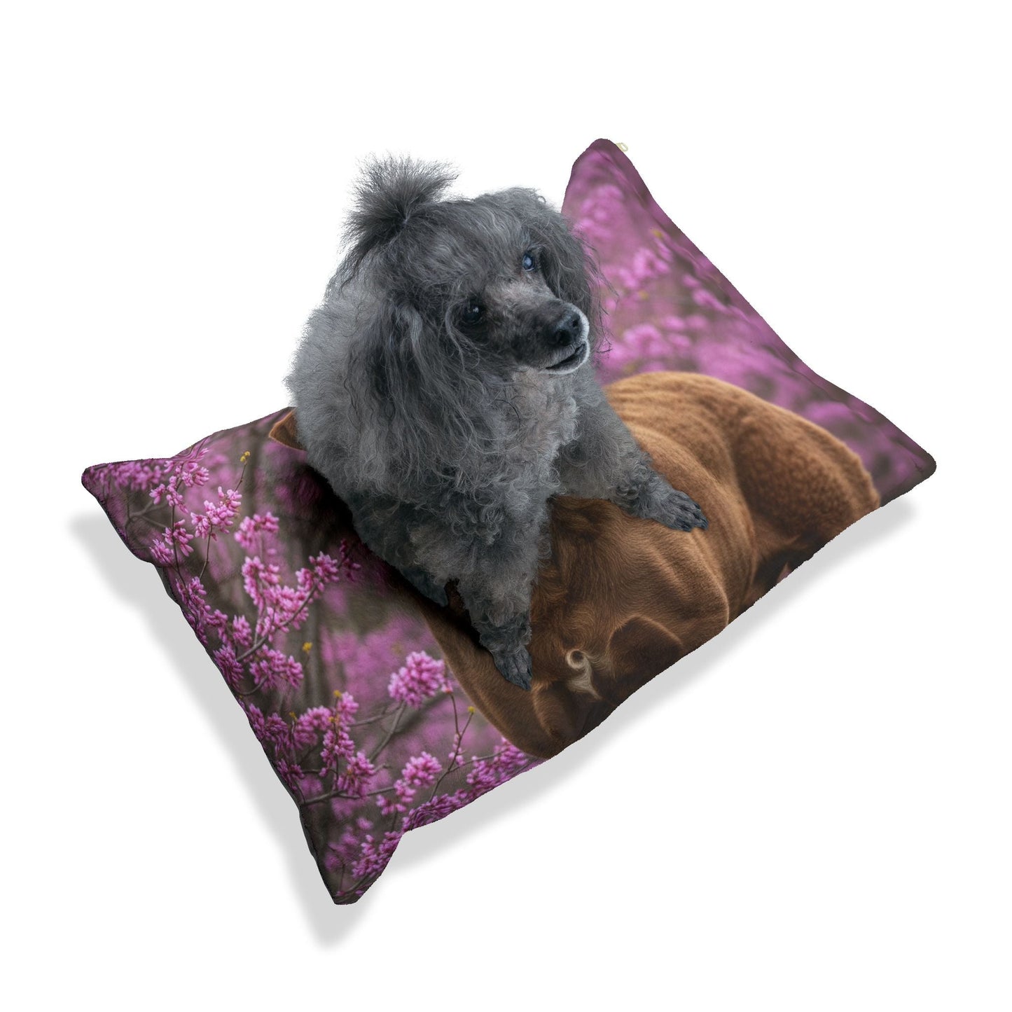 Lit pour animaux de compagnie – Lit douillet pour chien, 3 tailles disponibles