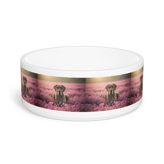 Ceramic Pet Bowl – 16 oz Dog Feeding Bowl