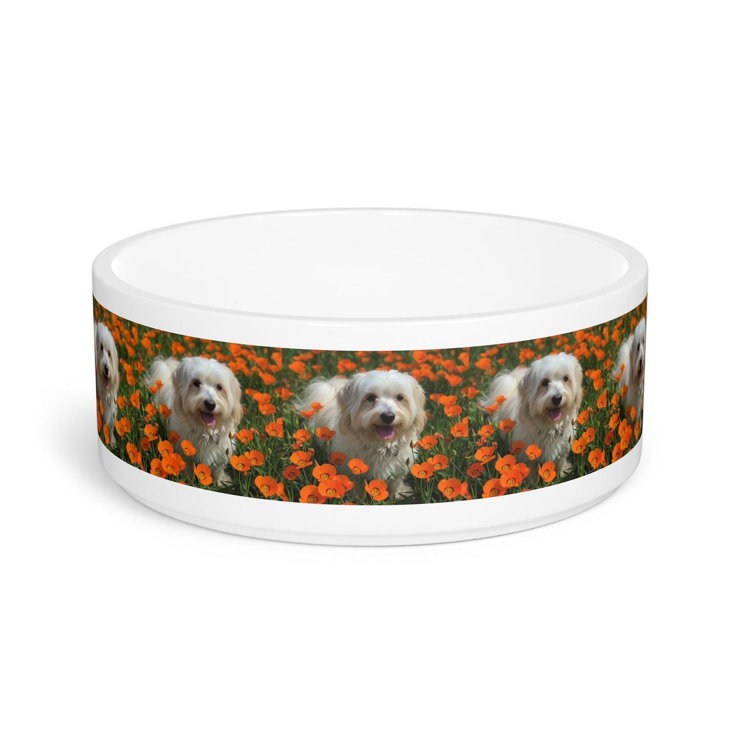 Ceramic Pet Bowl – 16 oz Dog Feeding Bowl