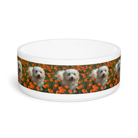 Ceramic Pet Bowl – 16 oz Dog Feeding Bowl
