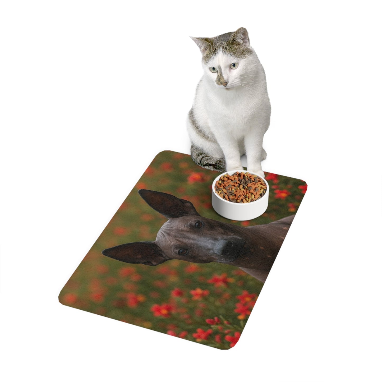 Tapis antidérapant pour animaux de compagnie – Tapis d'alimentation étanche pour chiens
