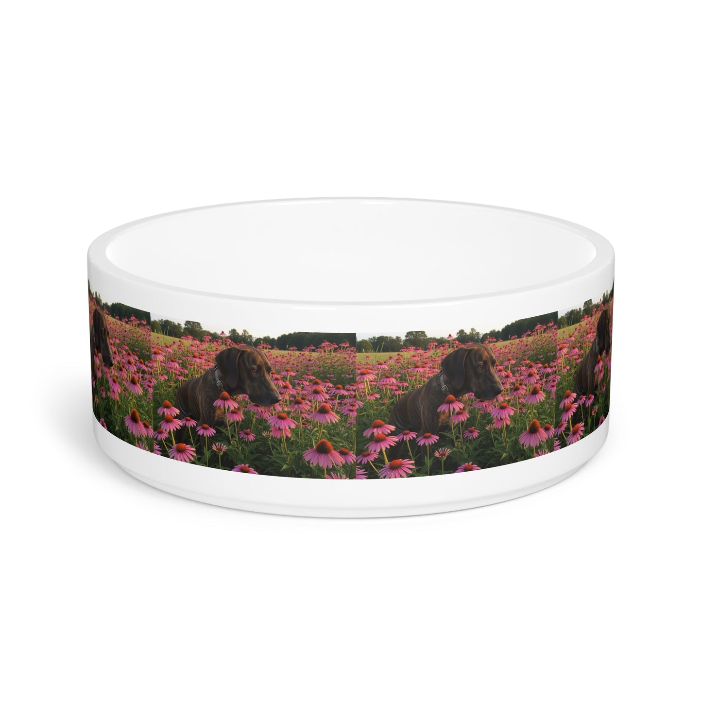 Ceramic Pet Bowl – 16 oz Dog Feeding Bowl
