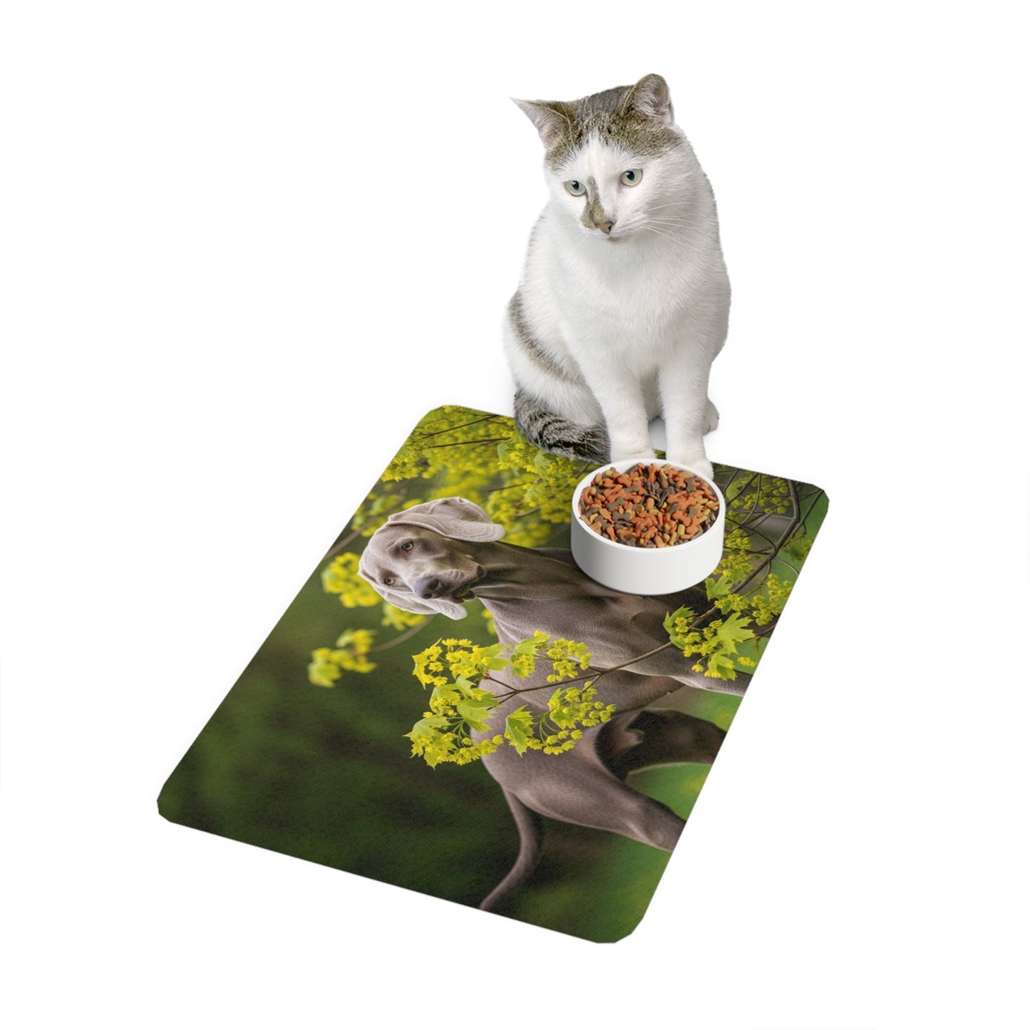 Non-Slip Pet Food Mat – Waterproof Feeding Mat for Dogs